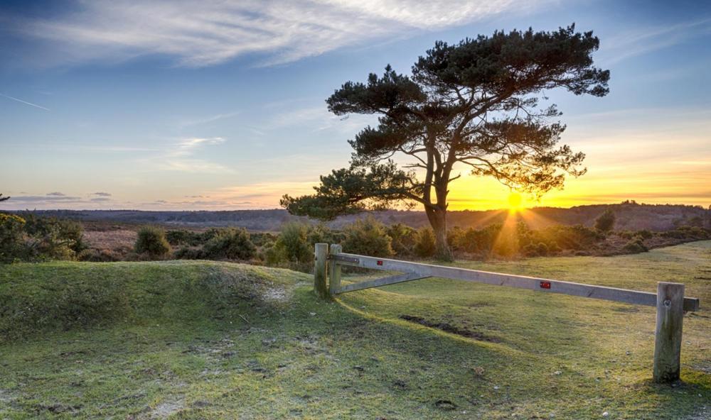 The Knightwood Oak A Luxury King Size En-Suite Space - Lymington New Forest With Totally Private Entrance - Key Box Entry - Free Parking & Private Outdoor Seating Area - Town ,Shops , Pubs & Solent Way Walking Distance & Complimentary Breakfast Items Kültér fotó